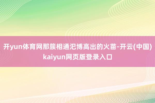 开yun体育网那簇相通汜博高出的火苗-开云(中国)kaiyun网页版登录入口